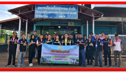 ปศุสัตว์จังหวัดบุรีรัมย์ตรวจสอบปริมาณน้ำนมโคและประชากรโคนม